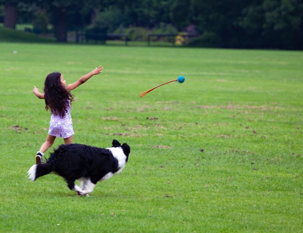 how-can-therapy-dogs-help-kids-coddled-critters