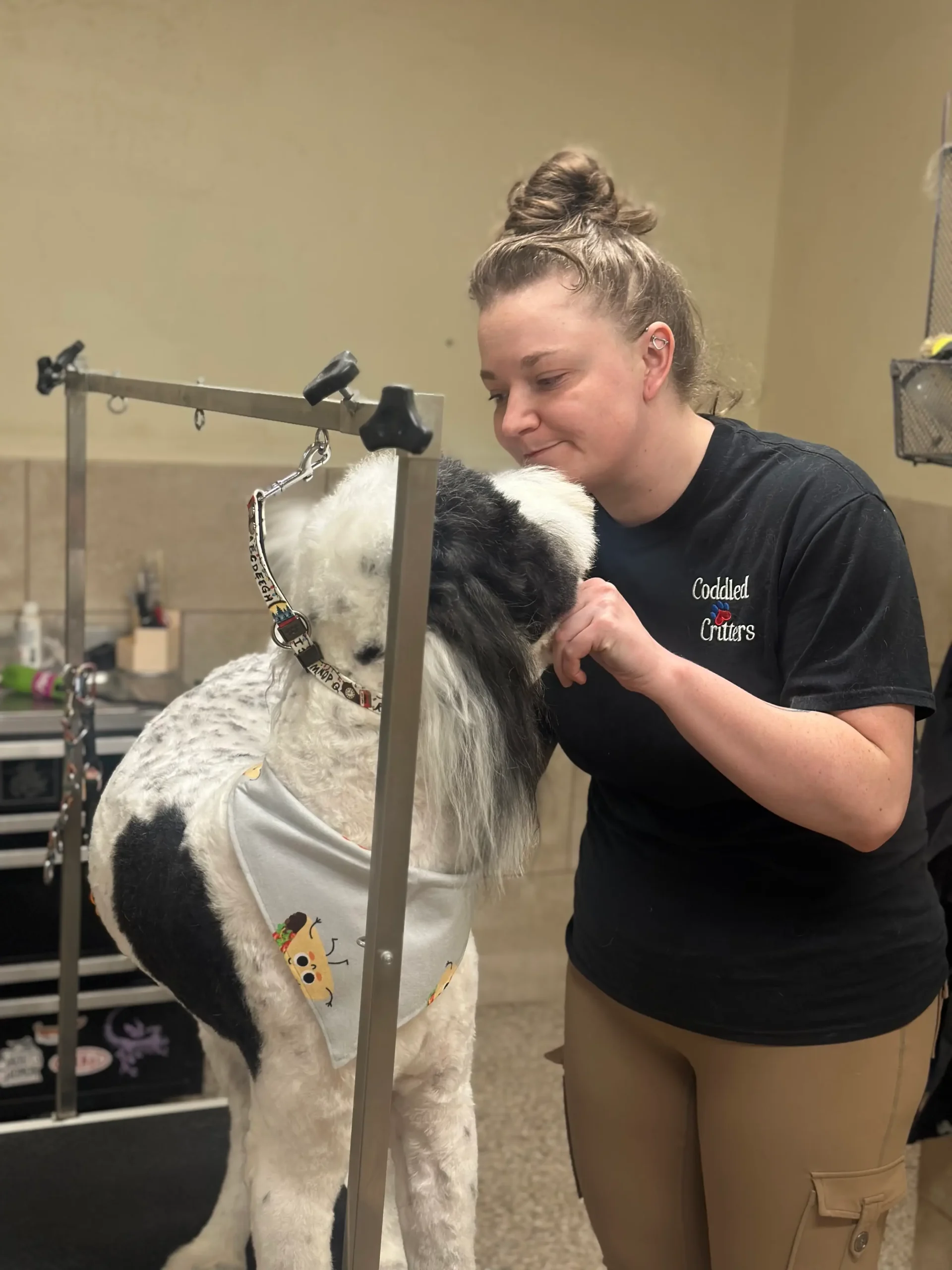 dog grooming